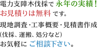 電力支障木伐採で永年の実績！お見積りは無料です。現地調査・工事概要・見積書作成（伐採、運搬、処分など）お気軽にご相談下さい。